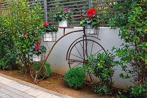 Comfort Stay Athens Airport Hotel - FREE shuttle from and to the airpo