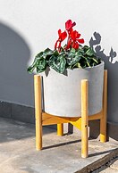 Comfort Stay Athens Airport Hotel - FREE shuttle from and to the airpo