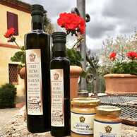 Villa e Fattoria di Radi