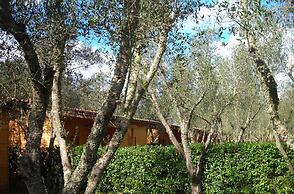 Lu Podere