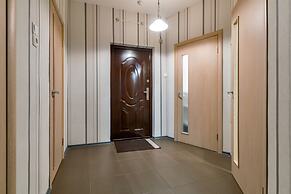 One Bedroom Great View Apartment near Gazprom Arena, UEFA 2022