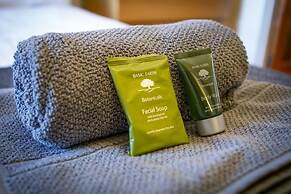 Cozy Apartment near The Meadows