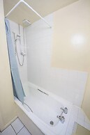 Charming and Spacious New Town Apartment