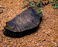 Casa Perpetua hotel d charm