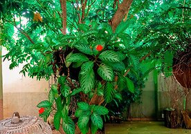 Casa Perpetua hotel d charm