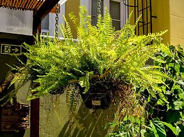 Casa Perpetua hotel d charm