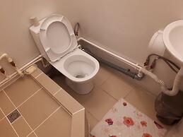 Gostevoj dom Domashnij