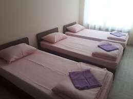 Gostevoj dom Domashnij