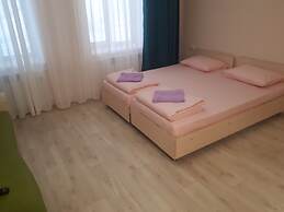 Gostevoj dom Domashnij