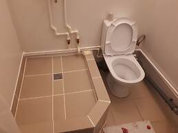 Gostevoj dom Domashnij