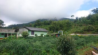 Penginapan Imanuel Lau Gara by Zuzu