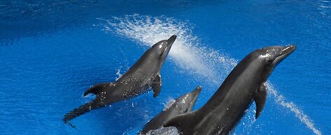 Silver Sands Self Catering