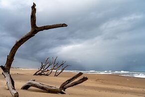 Mtunzini Forest Lodge Self Catering