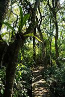 Mtunzini Forest Lodge Self Catering