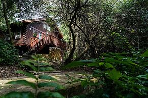 Mtunzini Forest Lodge Self Catering