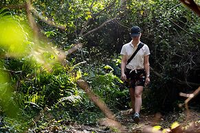 Mtunzini Forest Lodge Self Catering