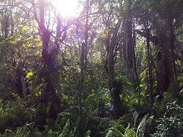 Mtunzini Forest Lodge Self Catering