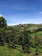 Agriturismo Bric di Gai