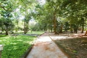 Nature Breeze Resort and Spa