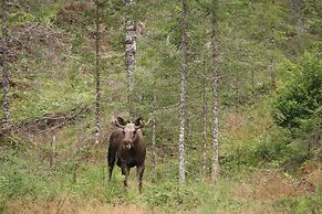 Velfjord camping & hytter