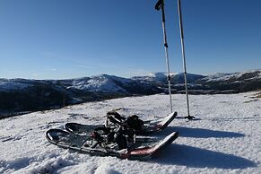 Velfjord camping & hytter