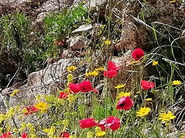 Aria di Vacanza - Tiriddò