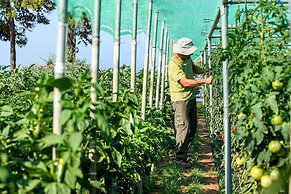 Alexandra Elegance Bridging Generations