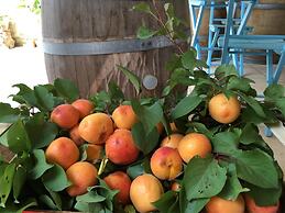 Corte dei Salentini Bed & Breakfast