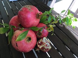 Corte dei Salentini Bed & Breakfast