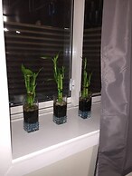 Cozy Basement Studio