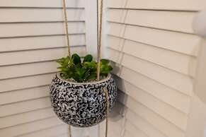 Cozy Basement Studio