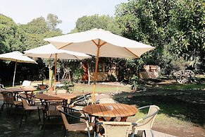 El Arbol Eco-Lodge - Hostel