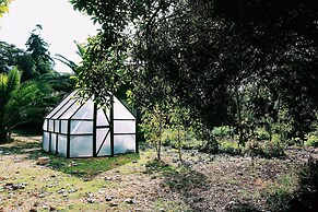 El Arbol Eco-Lodge - Hostel