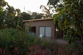 El Arbol Eco-Lodge - Hostel