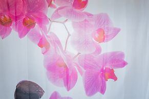 Orange Tree Cottages Downtown