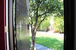 Orange Tree Cottages Downtown