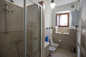 B&B Bone Novelle