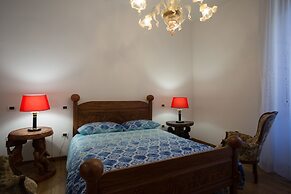 B&B Bone Novelle