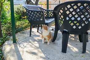 Apartments Tea Kotor