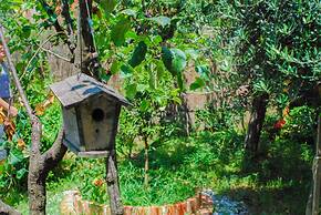 Apartments Tea Kotor