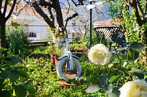 Apartments Tea Kotor