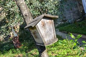 Apartments Tea Kotor