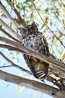 Rijks Wine Estate and Hotel - Adults Only