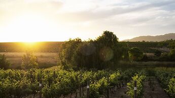 Rijks Wine Estate and Hotel - Adults Only