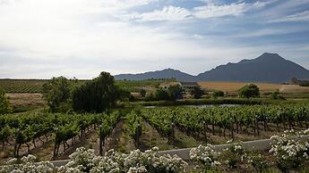 Rijks Wine Estate and Hotel - Adults Only