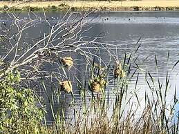 Rijks Wine Estate and Hotel - Adults Only