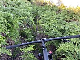 Rijks Wine Estate and Hotel - Adults Only