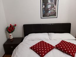 Venice Star House