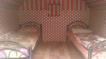 Bedouin habits tours camp