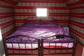 Bedouin habits tours camp